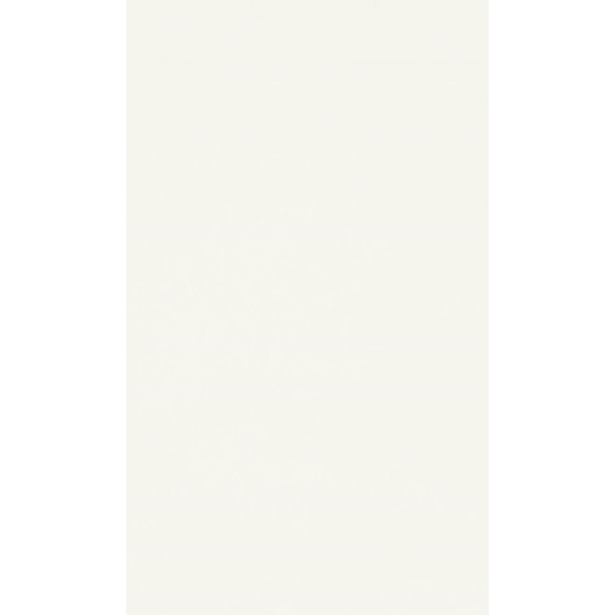 DTDL W960 SM Bílá 2800/2070/25