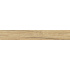 ABS K365 PW Dub Coast Gravír 22x0,45