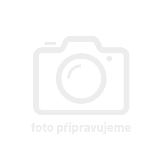 Spax bit pro vrut PoziDrive PZ2 25 mm