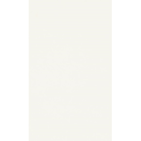 DTDL W960 ST7 Bílá 2800/2070/25 DTDL W960 ST7 Bílá 2800/2070/25