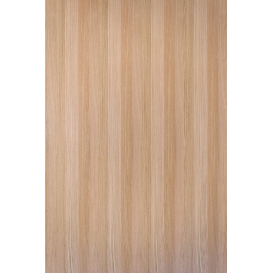 DTDD Dub radiál MODUS 2800/2070/19