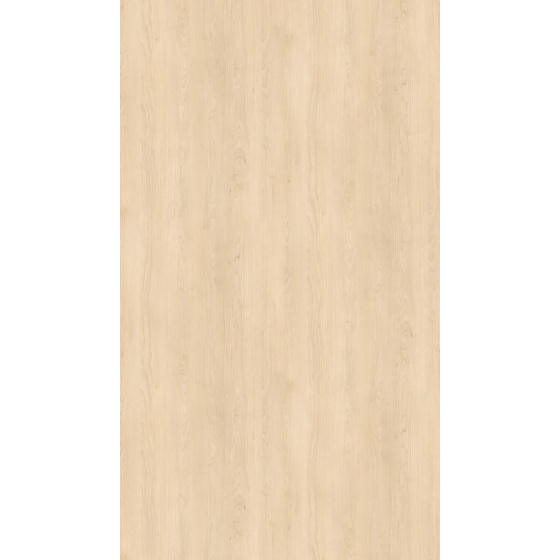 DTDL H1732 ST9 Bříza písková 2800/2070/25