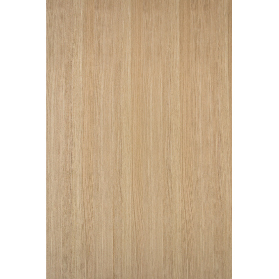 DTDD Dub Radiál ORDO 2800/2070/19