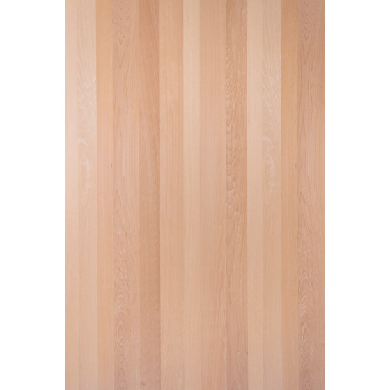 DTDD Buk pařený LUMEN 2800/2070/19